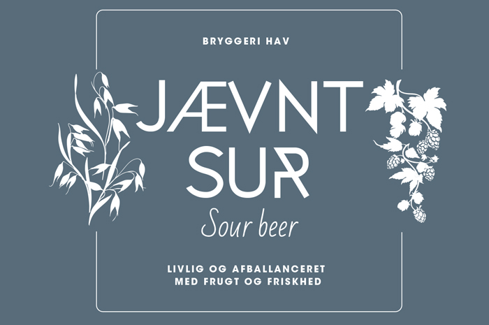 Jævnt Sur Sour Beer